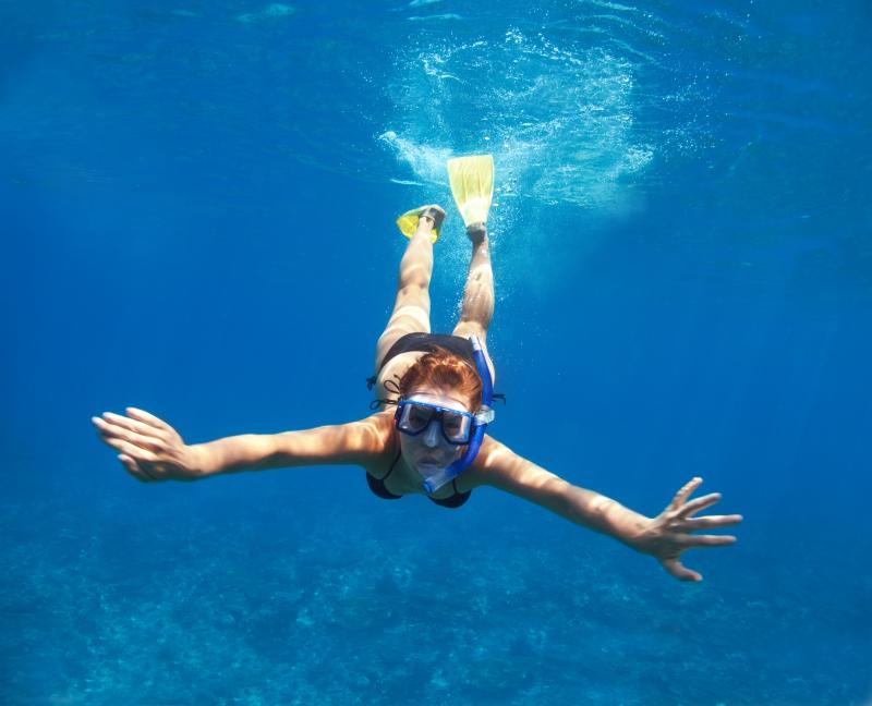 Looking for the Best Fins for Scuba Diving. Find Out Why Trek Fins Are All The Rave This Year