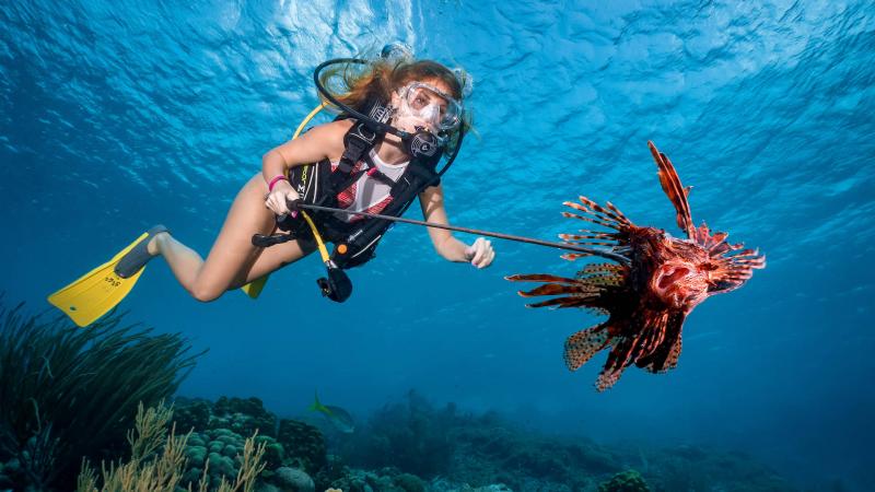 Looking for the Best Fins for Scuba Diving. Find Out Why Trek Fins Are All The Rave This Year