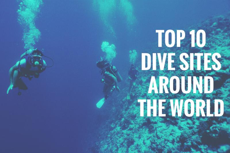 Looking for the Best Fins for Scuba Diving. Find Out Why Trek Fins Are All The Rave This Year