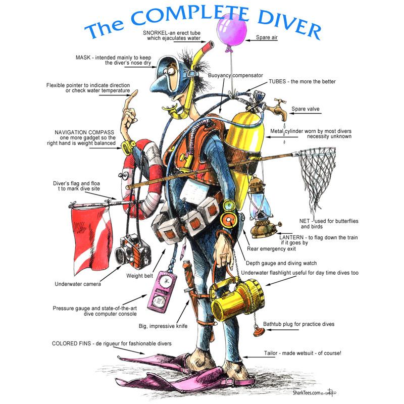 Looking for the Best Fins for Scuba Diving. Find Out Why Trek Fins Are All The Rave This Year
