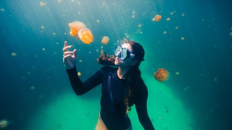 Looking for the Best Fins for Scuba Diving. Find Out Why Trek Fins Are All The Rave This Year