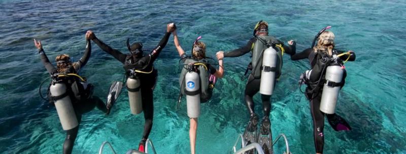 Looking for the Best Fins for Scuba Diving. Find Out Why Trek Fins Are All The Rave This Year