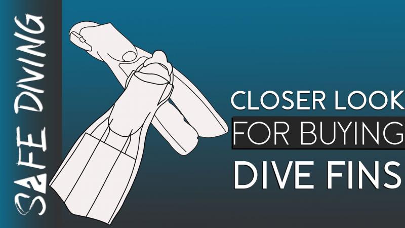 Looking for the Best Fins for Scuba Diving. Find Out Why Trek Fins Are All The Rave This Year
