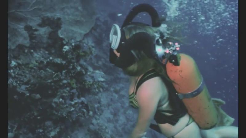 Looking for the Best Fins for Scuba Diving. Find Out Why Trek Fins Are All The Rave This Year
