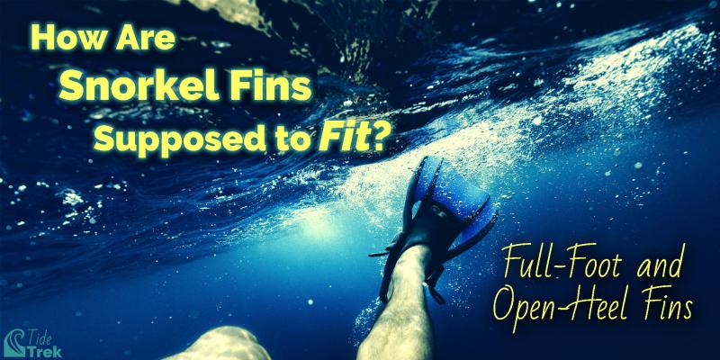 Looking for the Best Fins for Scuba Diving. Find Out Why Trek Fins Are All The Rave This Year