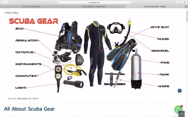 Looking for the Best Fins for Scuba Diving. Find Out Why Trek Fins Are All The Rave This Year
