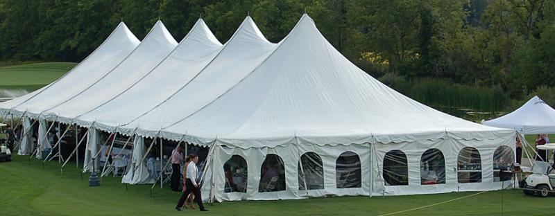 Looking For The Best Georgia Bulldogs Canopy Tent