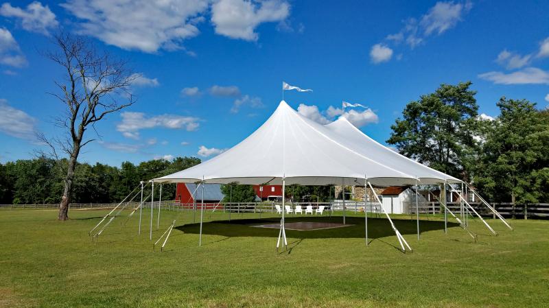 Looking For The Best Georgia Bulldogs Canopy Tent