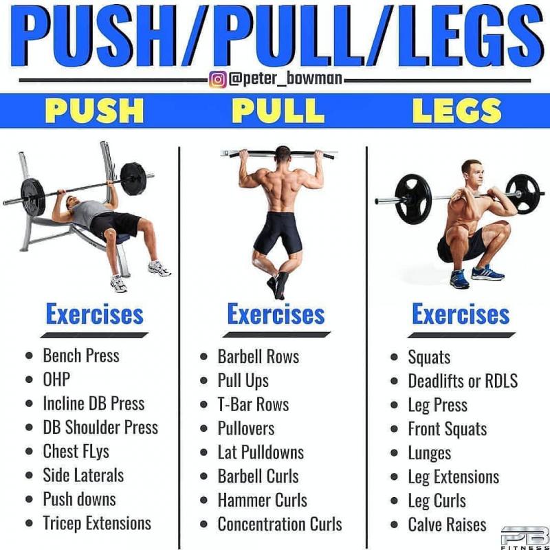 Looking for The Best Grey Workout Shorts. Find Out Here