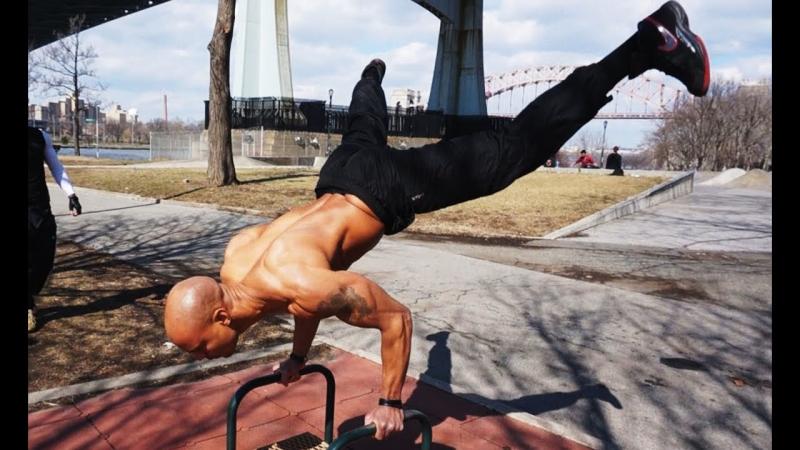 Looking for The Best Grey Workout Shorts. Find Out Here