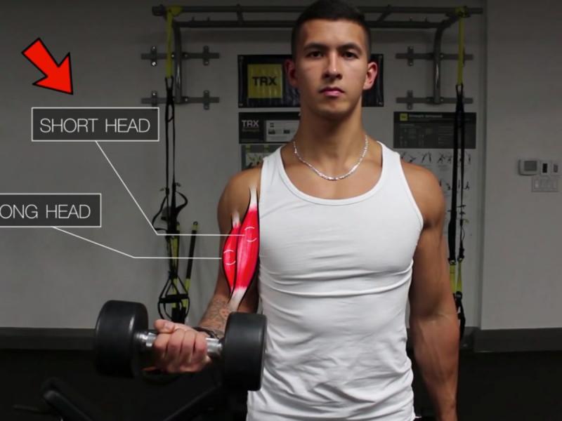 Looking for The Best Grey Workout Shorts. Find Out Here