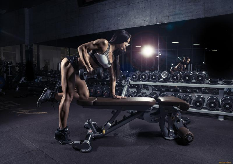 Looking for the Best Gym Sweats in 2023: 15 Must-Haves for Working Out and Lifting