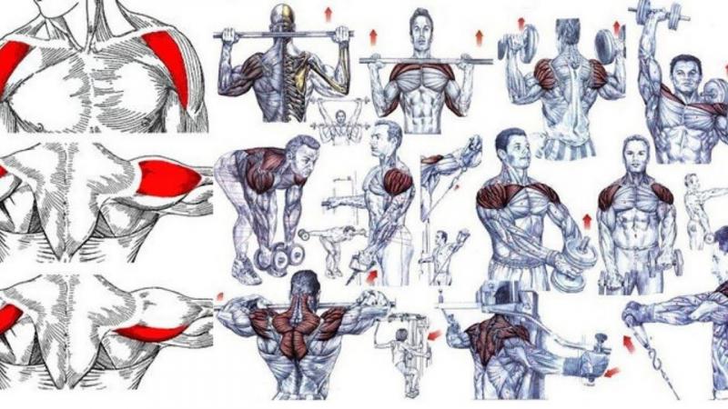 Looking For The Best Head Gym Clothes. Learn How To Pick The Perfect Workout Gear For Your Head