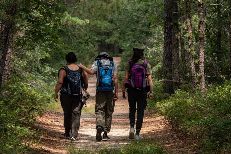 Looking for the Best Hiking Clothes This Year. Discover the 15 Essentials for Comfortable Camping and Hiking