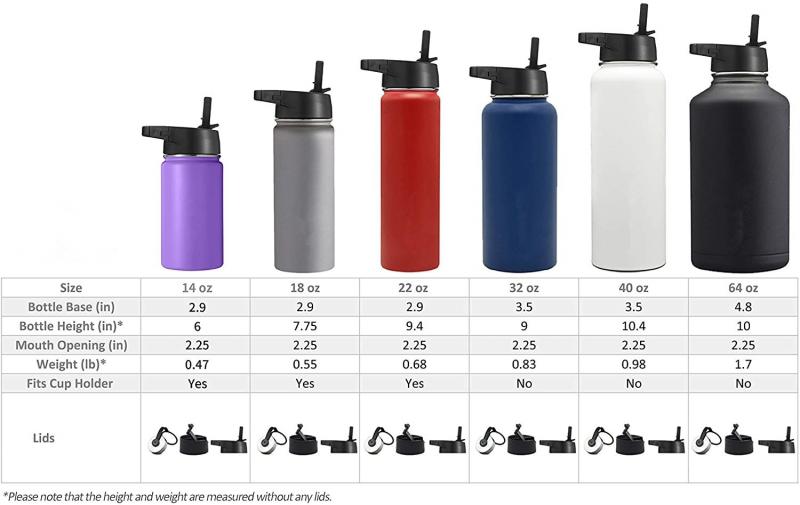Looking For The Best Hydro Flask 16 Oz: Choose From These Top Options