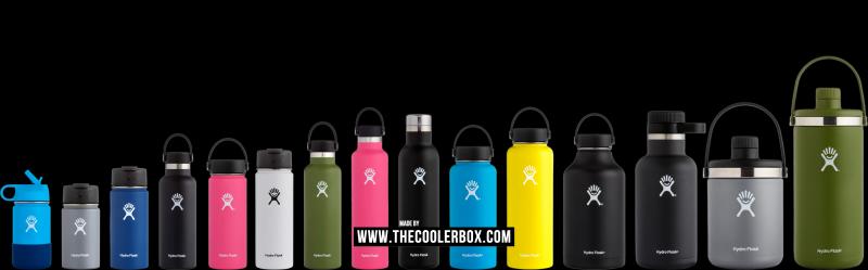 Looking For The Best Hydro Flask 16 Oz: Choose From These Top Options