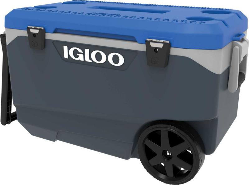 Looking for the Best Igloo Cooler: Here Are 15 Key Things to Know About the Igloo 16 Quart Latitude Cooler Before Buying