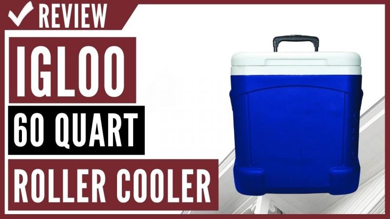 Looking for the Best Igloo Cooler: Here Are 15 Key Things to Know About the Igloo 16 Quart Latitude Cooler Before Buying