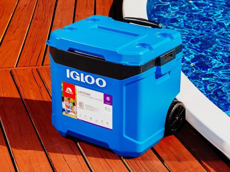 Looking for the Best Igloo Cooler: Here Are 15 Key Things to Know About the Igloo 16 Quart Latitude Cooler Before Buying