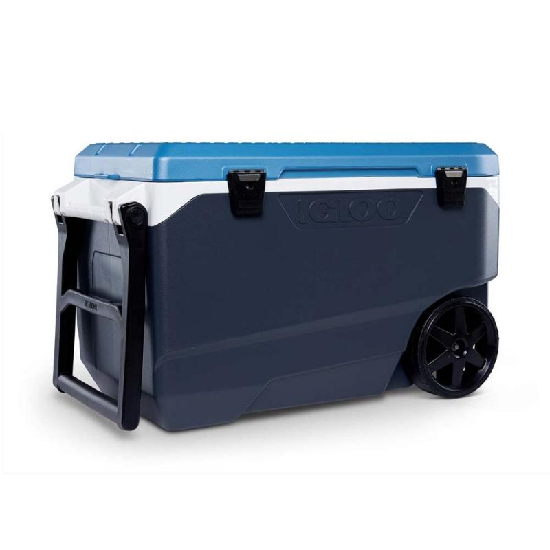 Looking for the Best Igloo Cooler: Here Are 15 Key Things to Know About the Igloo 16 Quart Latitude Cooler Before Buying