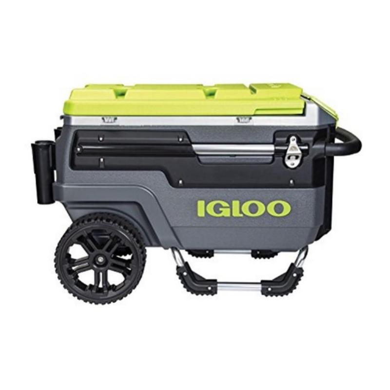 Looking for the Best Igloo Cooler: Here Are 15 Key Things to Know About the Igloo 16 Quart Latitude Cooler Before Buying