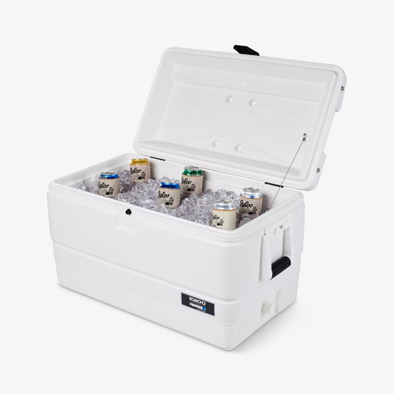 Looking for the Best Igloo Cooler: Here Are 15 Key Things to Know About the Igloo 16 Quart Latitude Cooler Before Buying