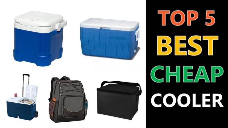Looking for the Best Igloo Cooler: Here Are 15 Key Things to Know About the Igloo 16 Quart Latitude Cooler Before Buying