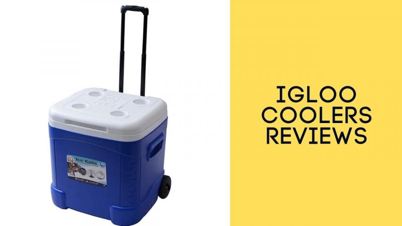 Looking for the Best Igloo Cooler: Here Are 15 Key Things to Know About the Igloo 16 Quart Latitude Cooler Before Buying