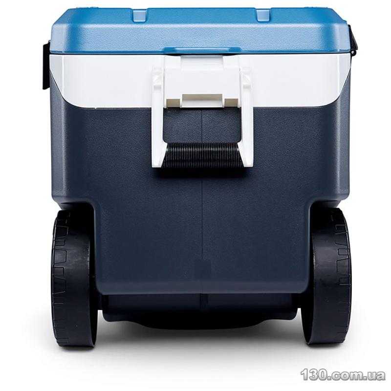 Looking for the Best Igloo Cooler: Here Are 15 Key Things to Know About the Igloo 16 Quart Latitude Cooler Before Buying