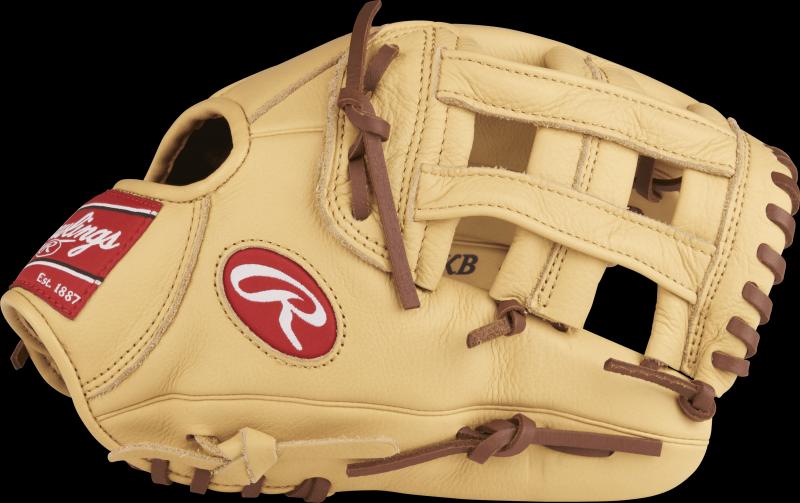 Looking for the Best Infield Glove in 2023. Discover the Rawlings GG Elite Series