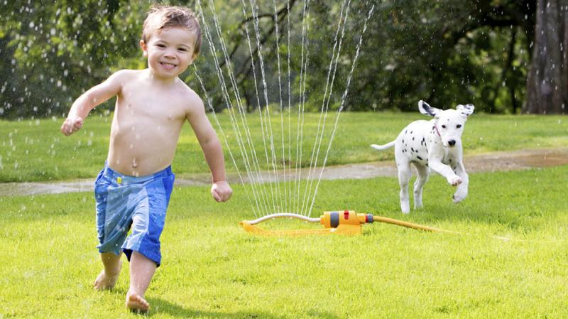Looking for The Best Lacrosse Sticks for Dogs. Here are 15 Amazing Finds to Keep Your Pup Entertained