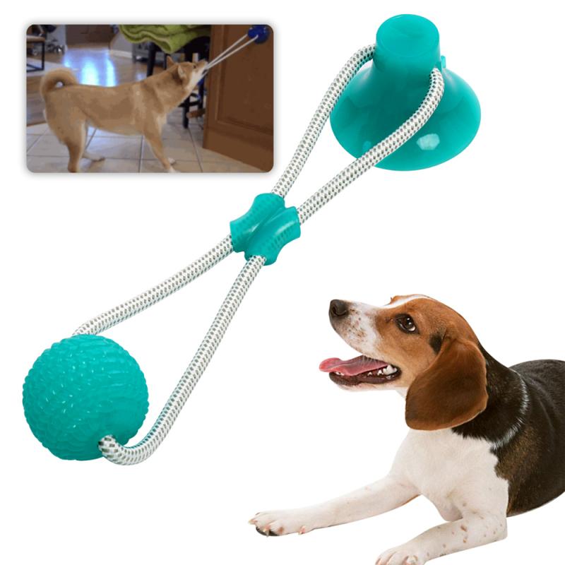 Looking for The Best Lacrosse Sticks for Dogs. Here are 15 Amazing Finds to Keep Your Pup Entertained