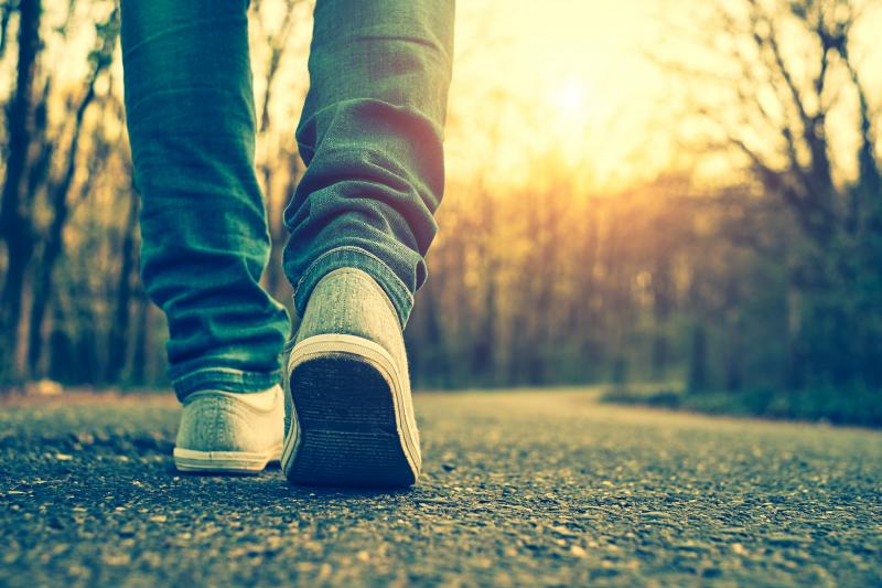 Looking for the Best Nike Walking Shoes This Year. Learn the Top 15 Things to Know Before Buying