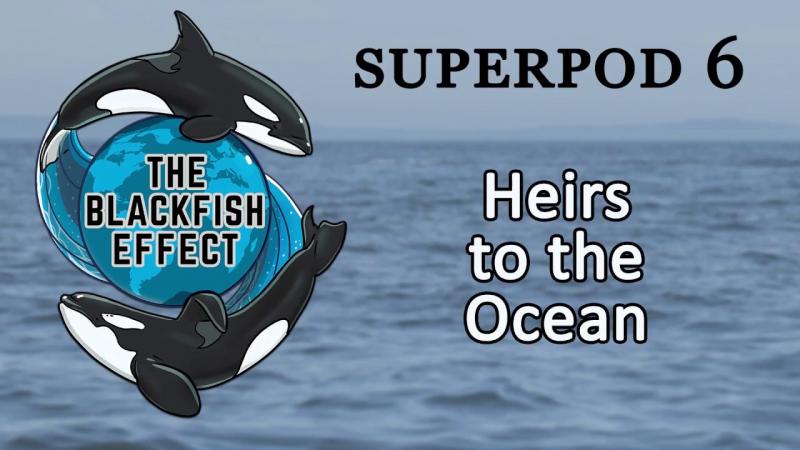 Looking for the Best Orca Cooler Deal. Find Out What Makes This Cooler So Great
