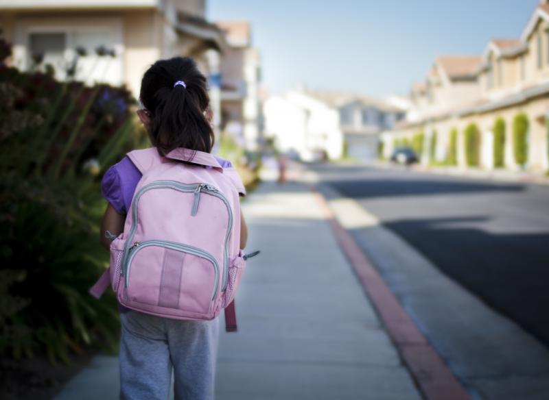 Looking for The Best Pink Backpack. How To Choose Between Black and Pink Backpacks