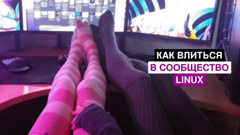 Looking for the Best Place to Buy Bombas No Show Socks. Find Out Here
