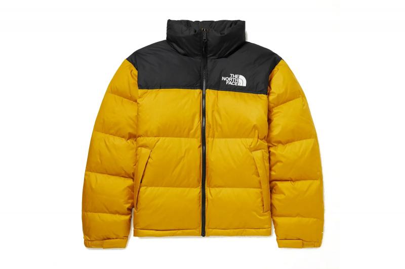 Looking for The Best Puffer Jacket Without a Hood This Season. Here Are 15 Key Things to Consider