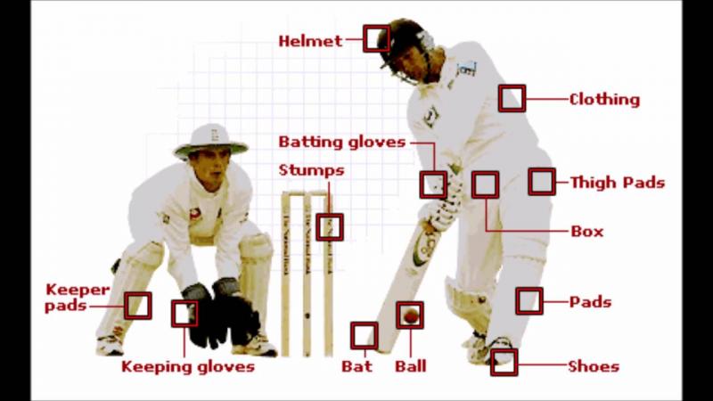 Looking for the Best Purple Batting Helmet. Here are the top 15 Features to Consider