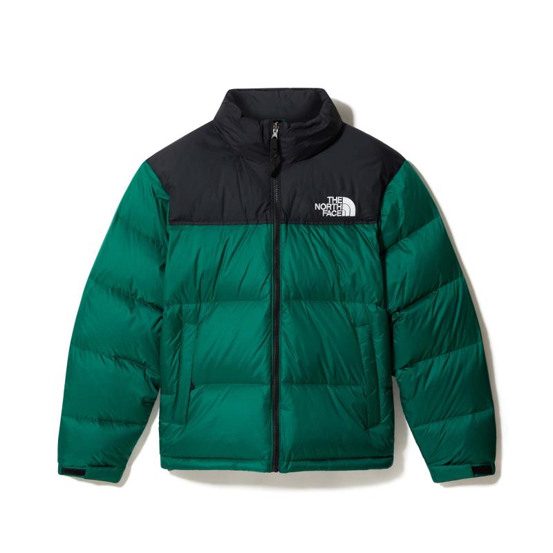 Looking for The Best Sage Green North Face Jacket. Find Out Here