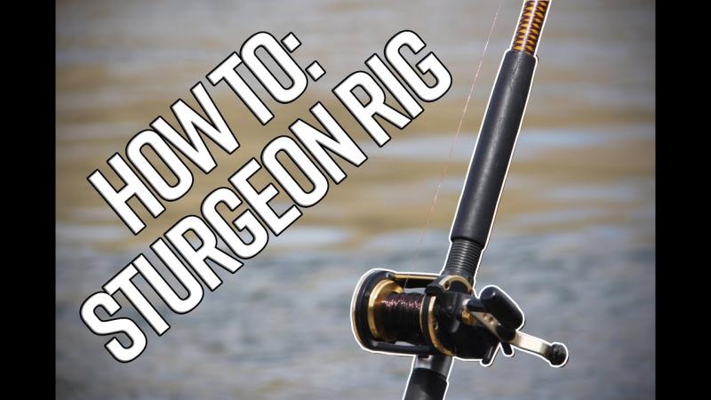 Looking for the Best Ugly Stik GX2 Spinning Rod: 15 Must-Know Facts About the Popular Shakespeare Fishing Rod