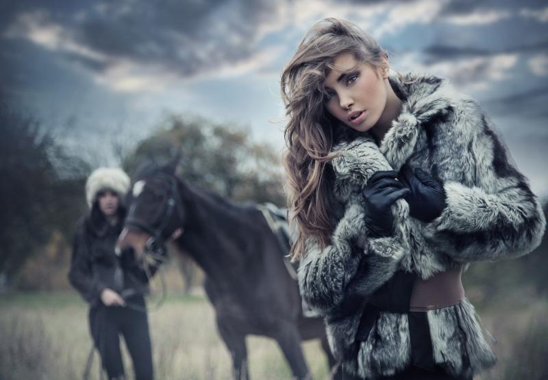 Looking for The Best Winter Coat This Year: Discover Roxy