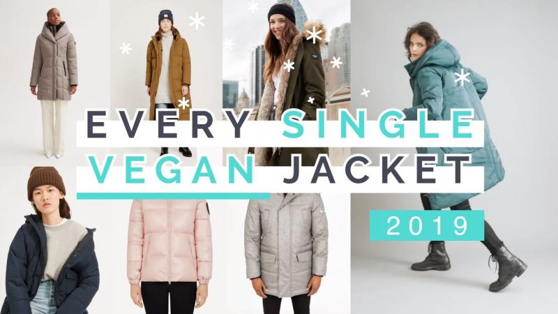 Looking for The Best Winter Coat This Year: Discover Roxy