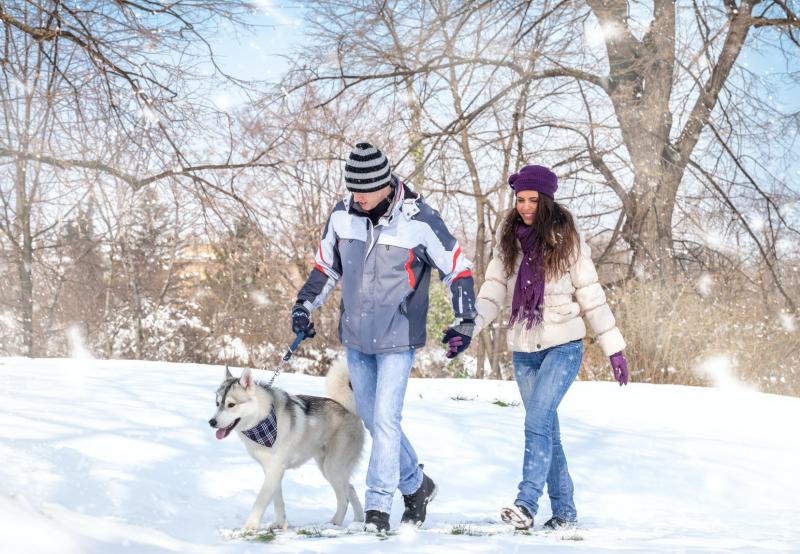 Looking for The Best Winter Walking Pants for Women This Year. 14 Key Features to Focus On