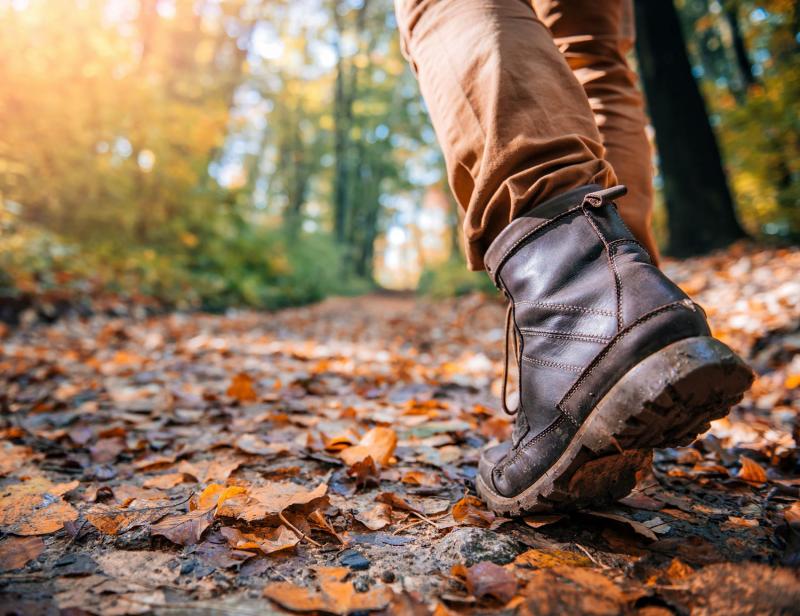 Looking for the Best Winter Walking Shoes. Find Out in This Guide