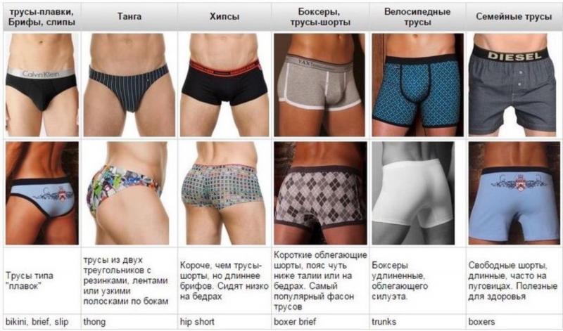 Looking for the Best Youth Briefs for Your Athlete Kid: 15 Shocking Facts About Shock Doctor Briefs