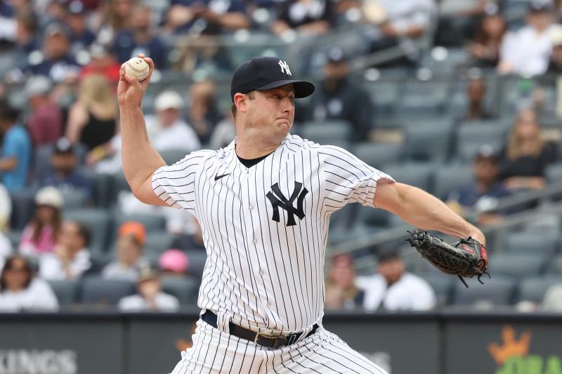 Looking For The Classic NY Yankees Hat. Here Are 15 Of The Best Low Profile Options For True Fans