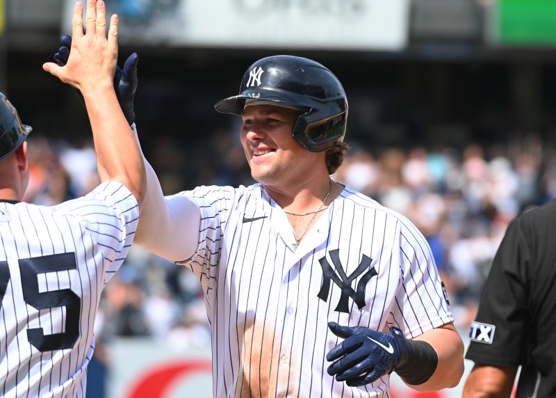 Looking For The Classic NY Yankees Hat. Here Are 15 Of The Best Low Profile Options For True Fans