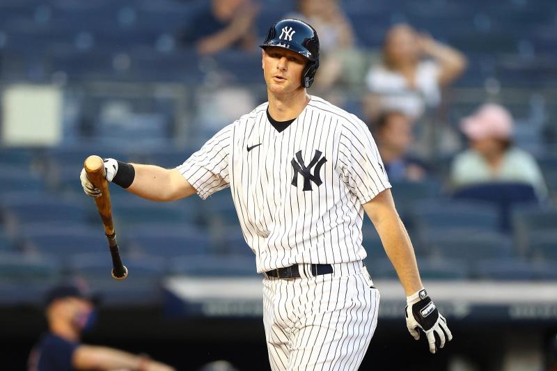 Looking For The Classic NY Yankees Hat. Here Are 15 Of The Best Low Profile Options For True Fans