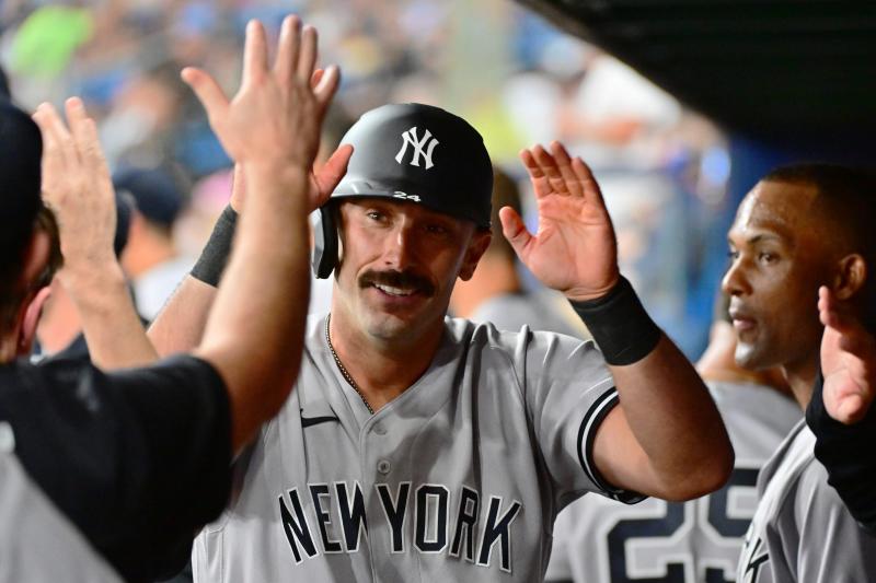 Looking For The Classic NY Yankees Hat. Here Are 15 Of The Best Low Profile Options For True Fans