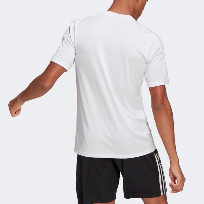 Looking for the Perfect Adidas Short Sleeve Shirt. Discover the Squadra in 14 Points